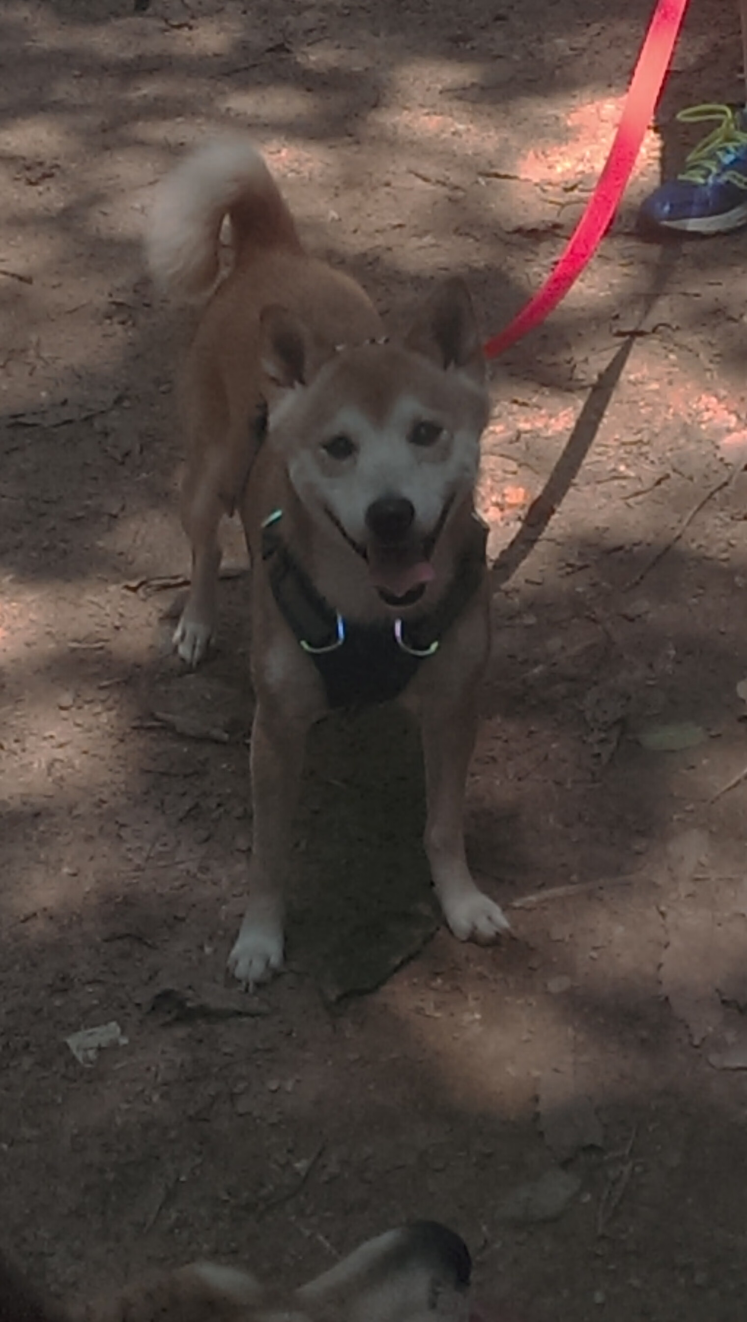 当战争隐喻遇上绿茵场，乌克兰的强压与德布劳内的接管